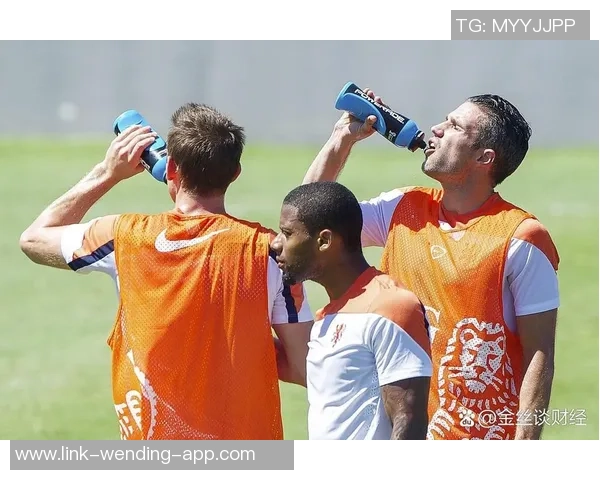 深入解析足球15小球的投注技巧与赛场表现的影响因素